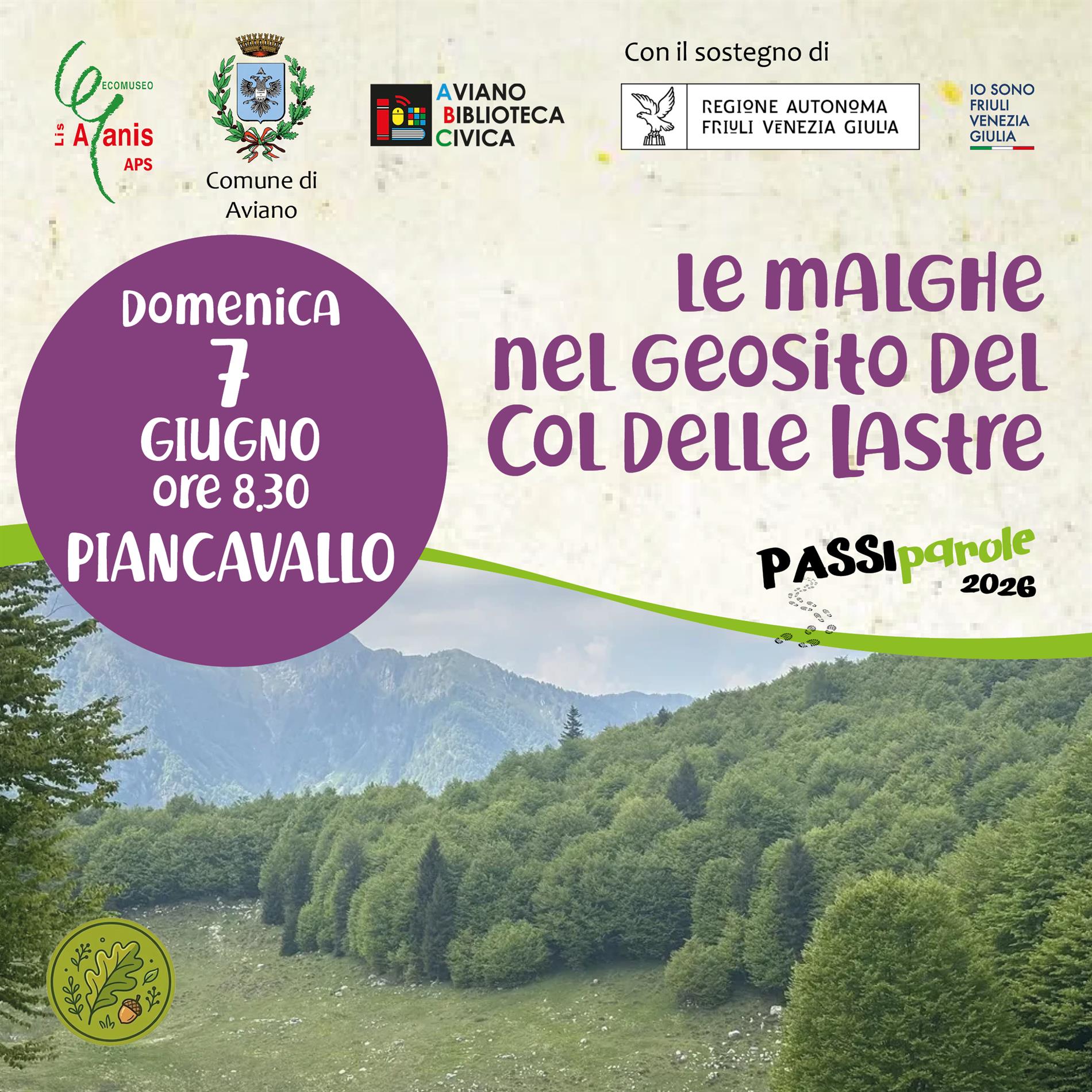 immagine evento