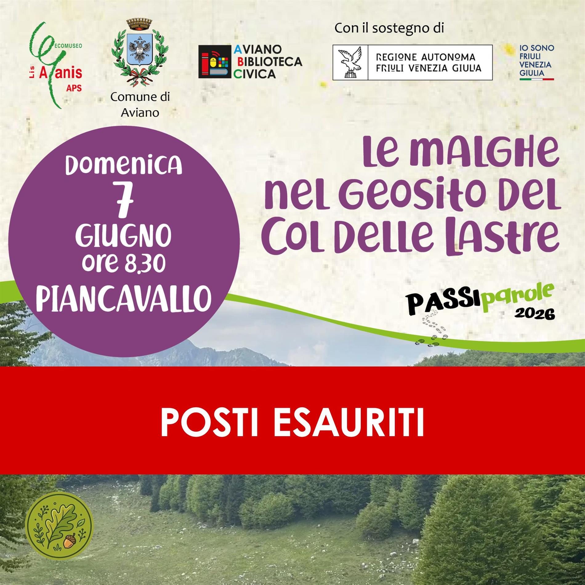 immagine evento